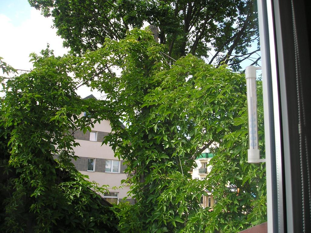 Pokoje Centrum U Ani Augustow Bagian luar foto